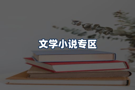 文学小说PDF展示
